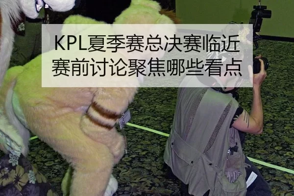 KPL夏季赛总决赛临近 赛前讨论聚焦哪些看点